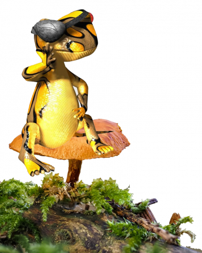 Isaac on toadstool-min Isaac on toadstool-min